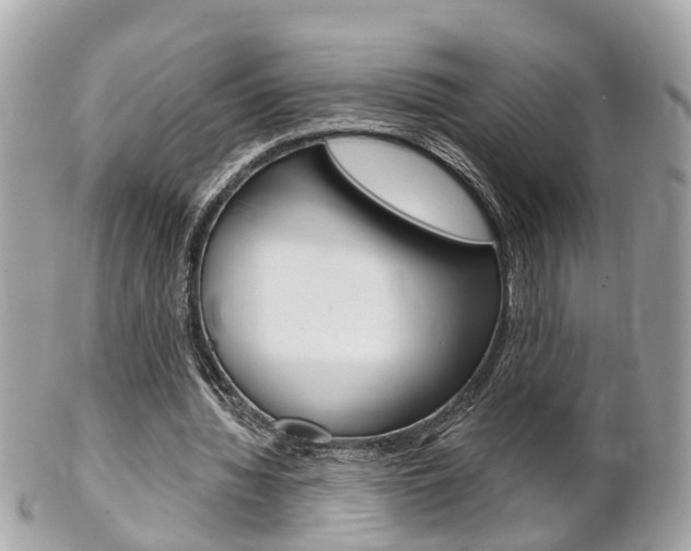 X0000102000436200807180852