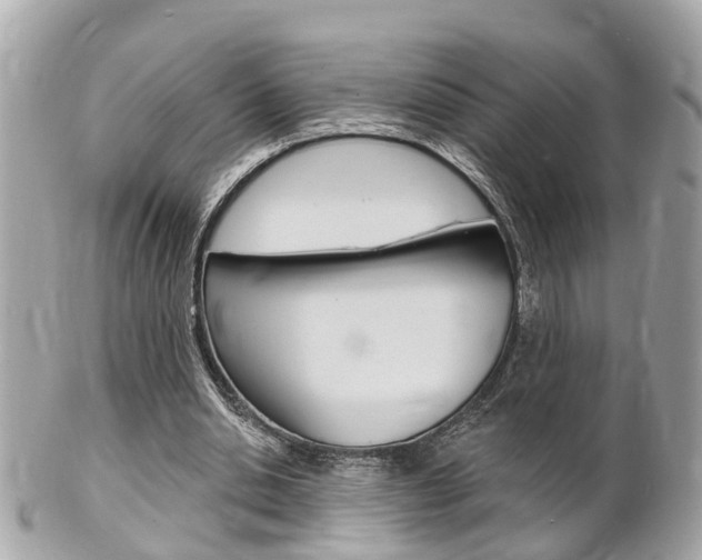 X0000102000438200807180852