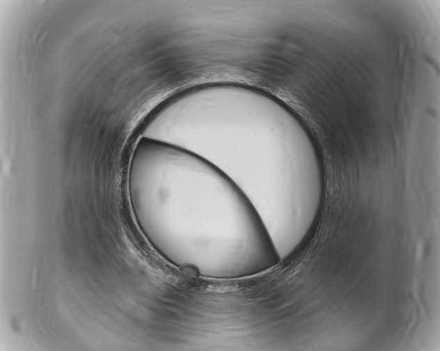 X0000102000440200807180852