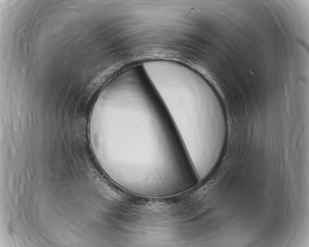 X0000102000445200807180852