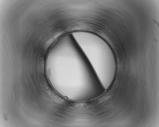 X0000102000446200807180852