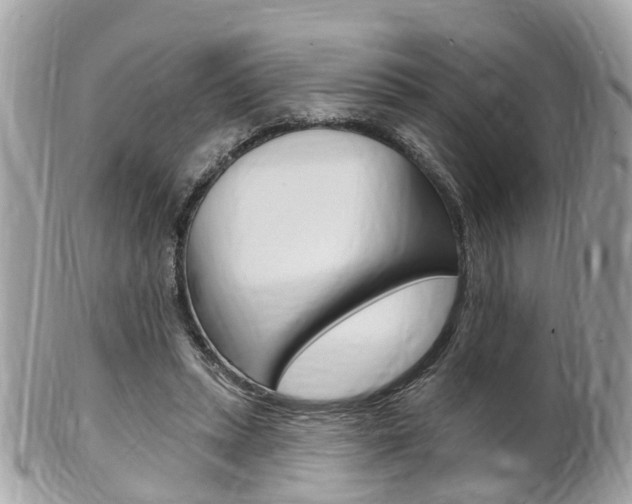 X0000102000447200807180852