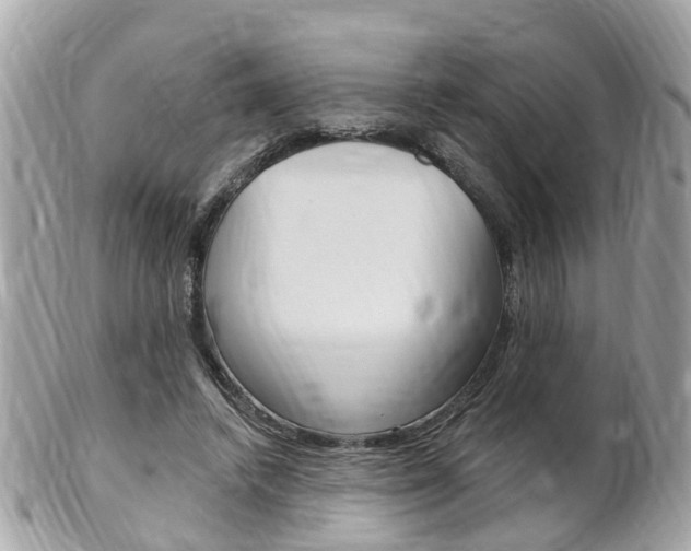 X0000102000448200807180852