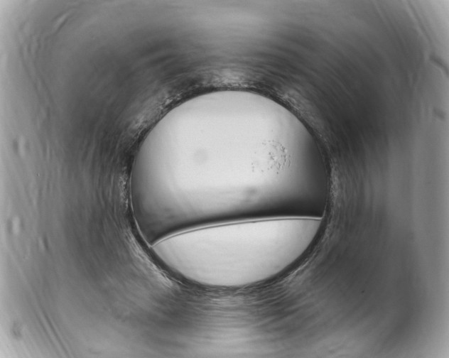 X0000102000449200807180852