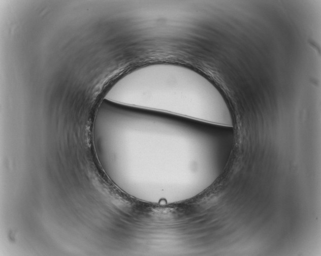 X0000102000450200807180852