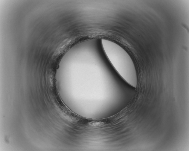X0000102000452200807180852