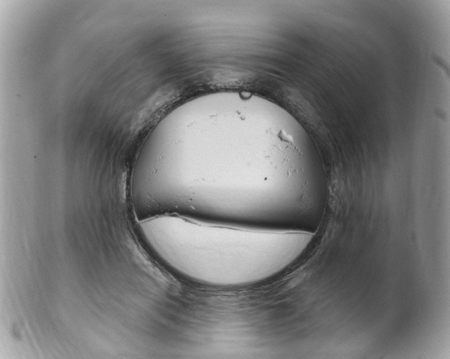 X0000102000454200807180852