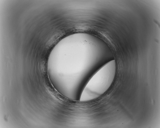 X0000102000455200807180852