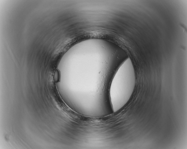 X0000102000456200807180852