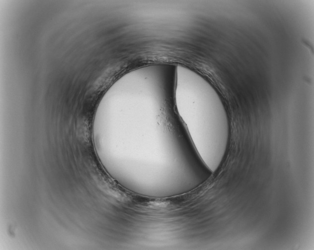 X0000102000457200807180852