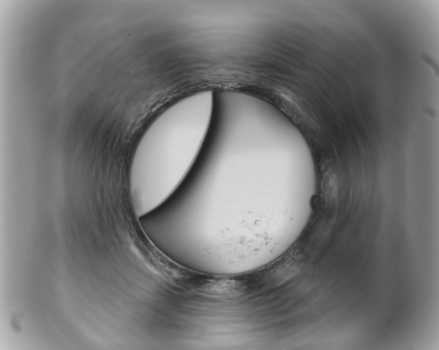 X0000102000459200807180852