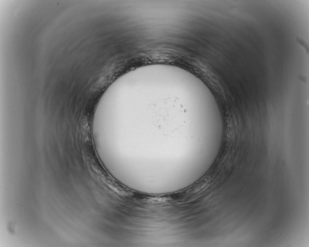 X0000102000465200807180852