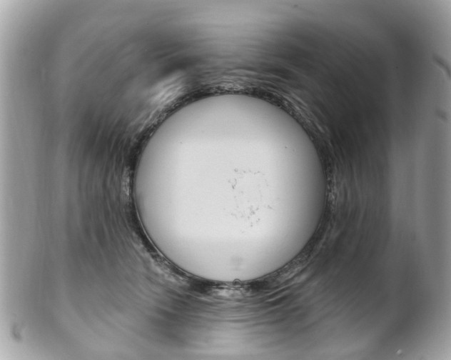 X0000102000466200807180852