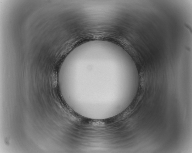 X0000102000471200807180852