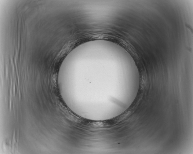 X0000102000473200807180852