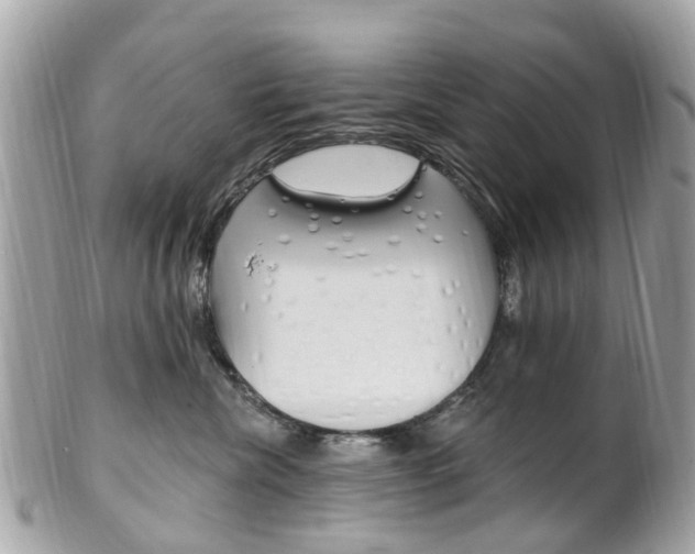 X0000102000476200807180852