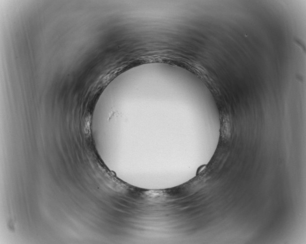 X0000102000477200807180852