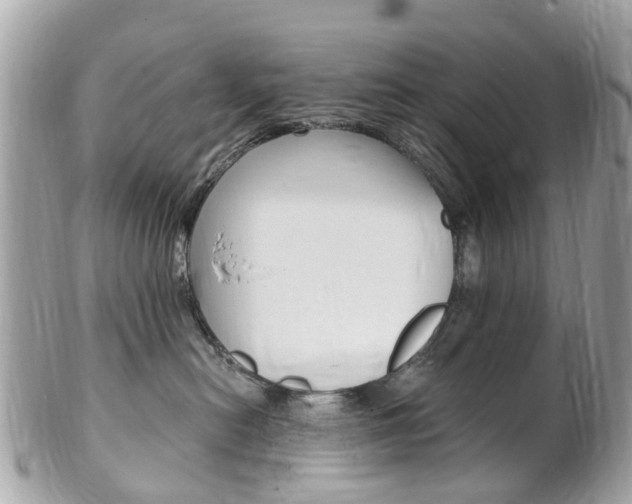 X0000102000478200807180852