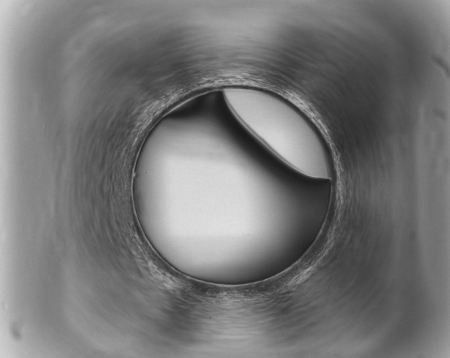 X0000102000481200807180851
