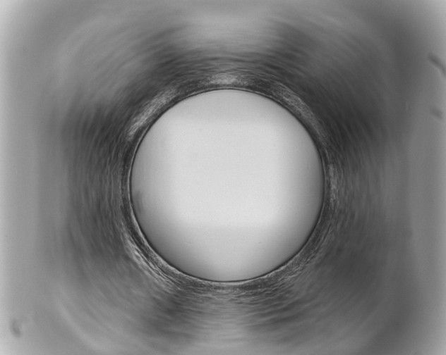X0000102000482200807180851