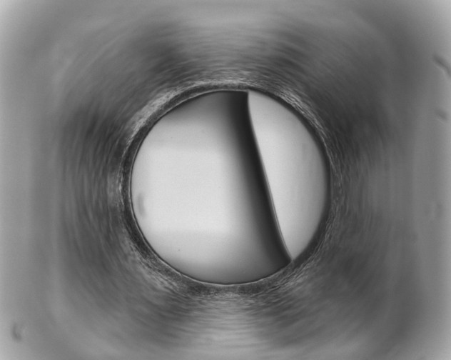 X0000102000483200807180851