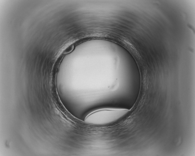 X0000102000484200807180851