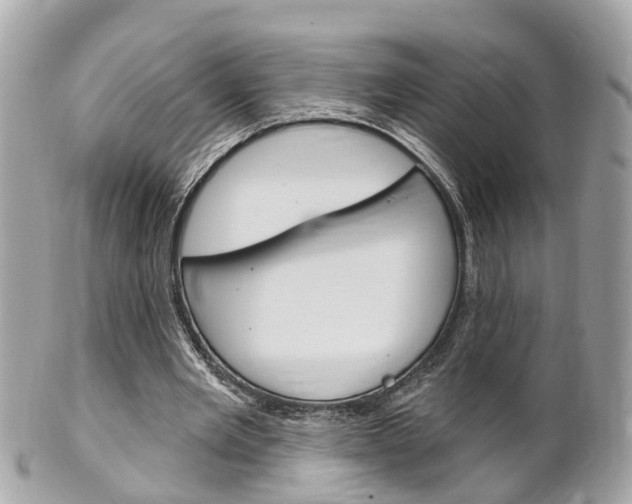 X0000102000485200807180851