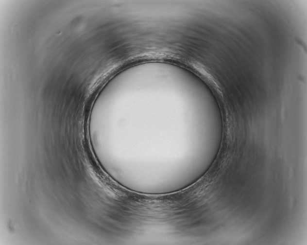 X0000102000486200807180851