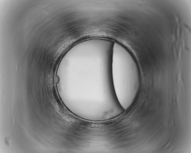 X0000102000487200807180851