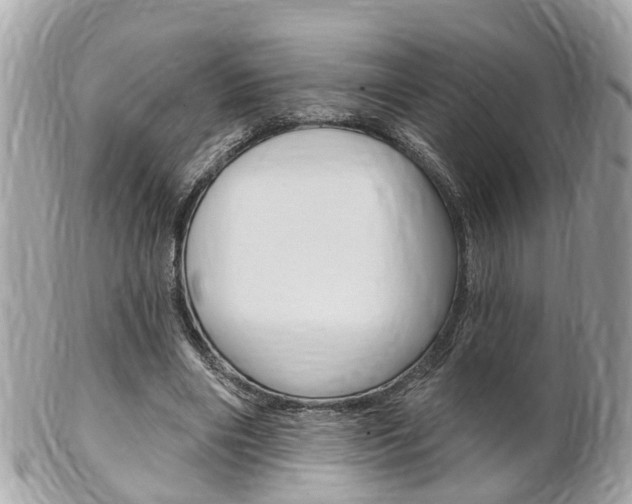 X0000102000490200807180851