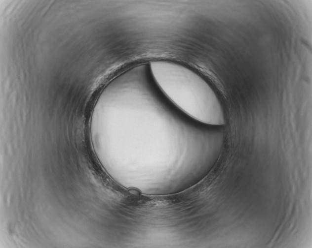 X0000102000492200807180851