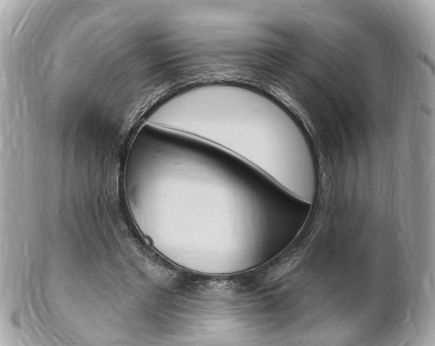 X0000102000493200807180851