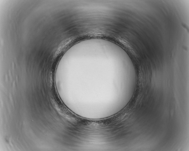X0000102000494200807180851