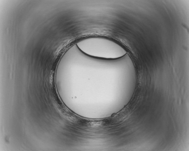 X0000102000495200807180851