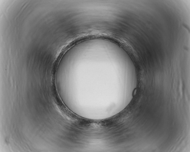 X0000102000496200807180851