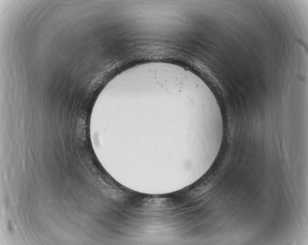 X0000102000497200807180851