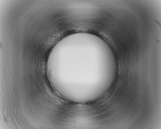 X0000102000498200807180851