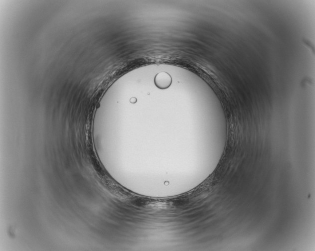 X0000102000499200807180851