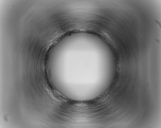 X0000102000500200807180851