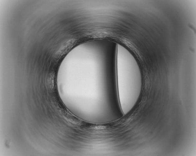 X0000102000501200807180851