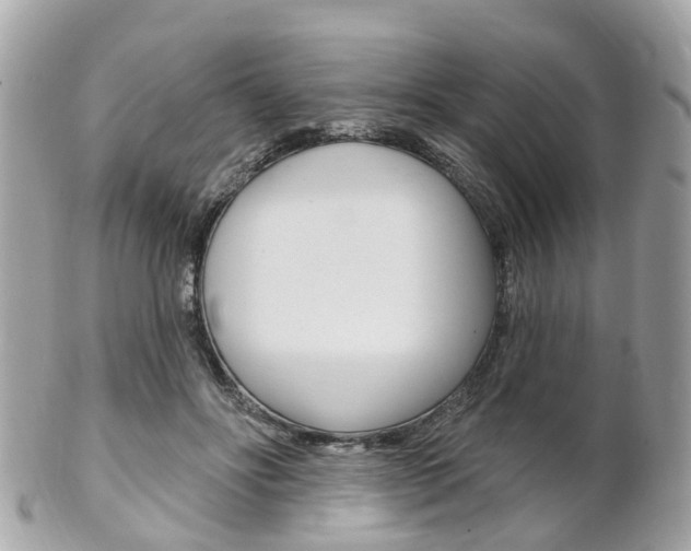X0000102000502200807180851