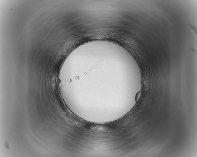 X0000102000503200807180851