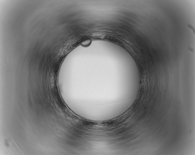 X0000102000504200807180851