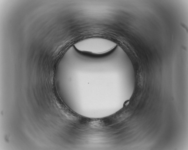 X0000102000505200807180851