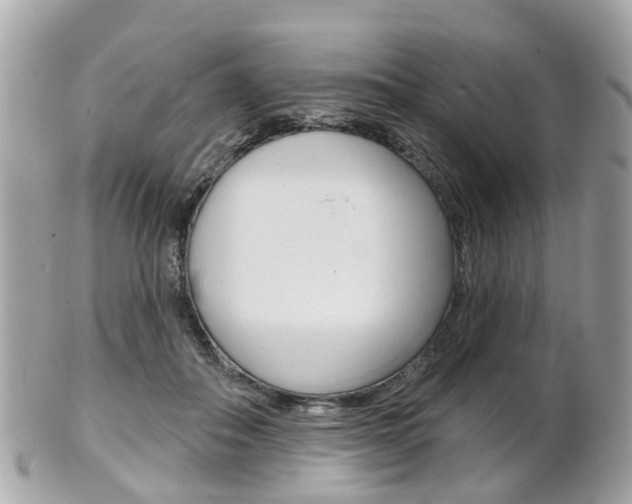 X0000102000506200807180851