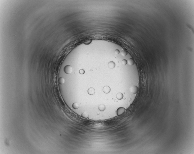 X0000102000507200807180851