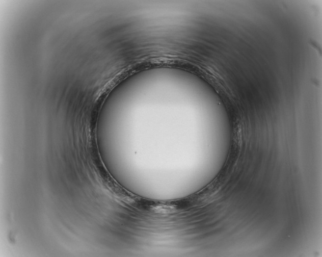 X0000102000508200807180851