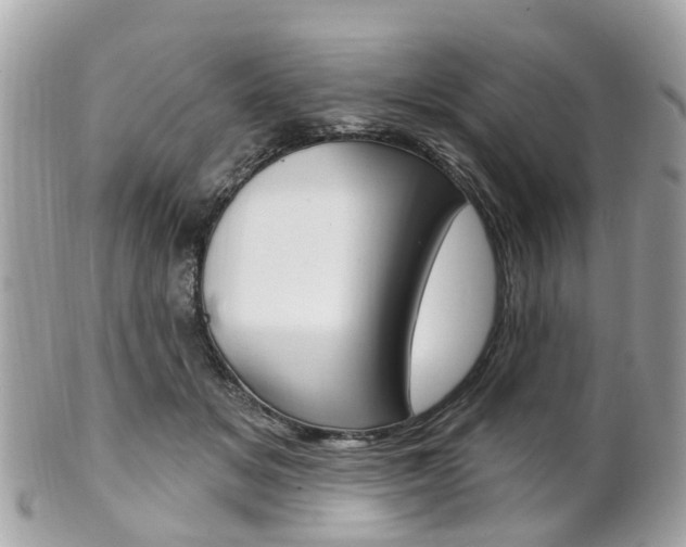 X0000102000509200807180851
