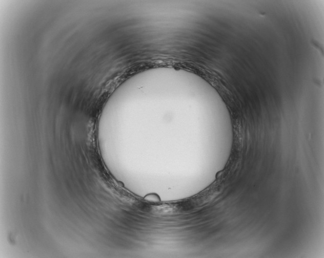 X0000102000511200807180851