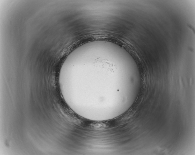 X0000102000512200807180851